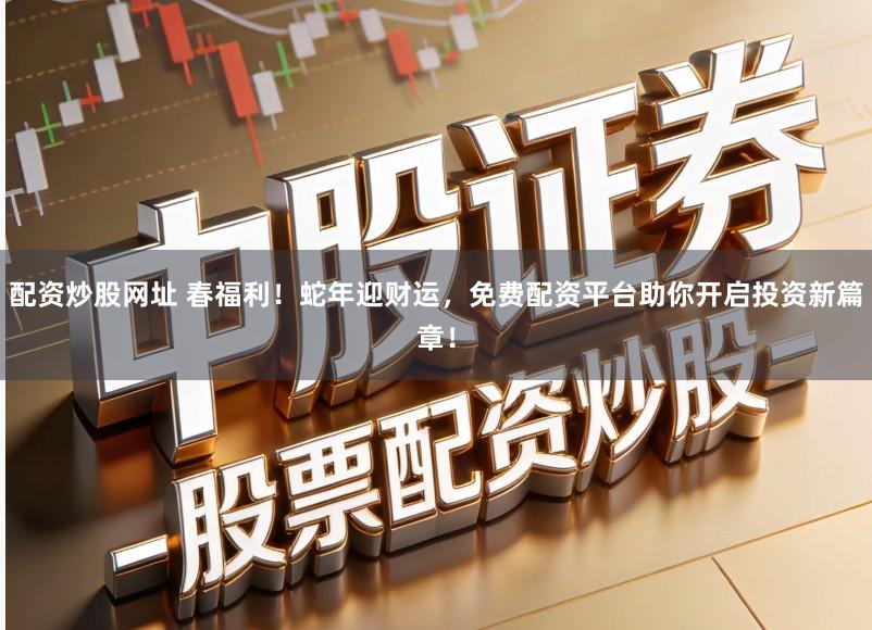 配资炒股网址 春福利!蛇年迎财运,免费配资平台助你开启投资新篇章!