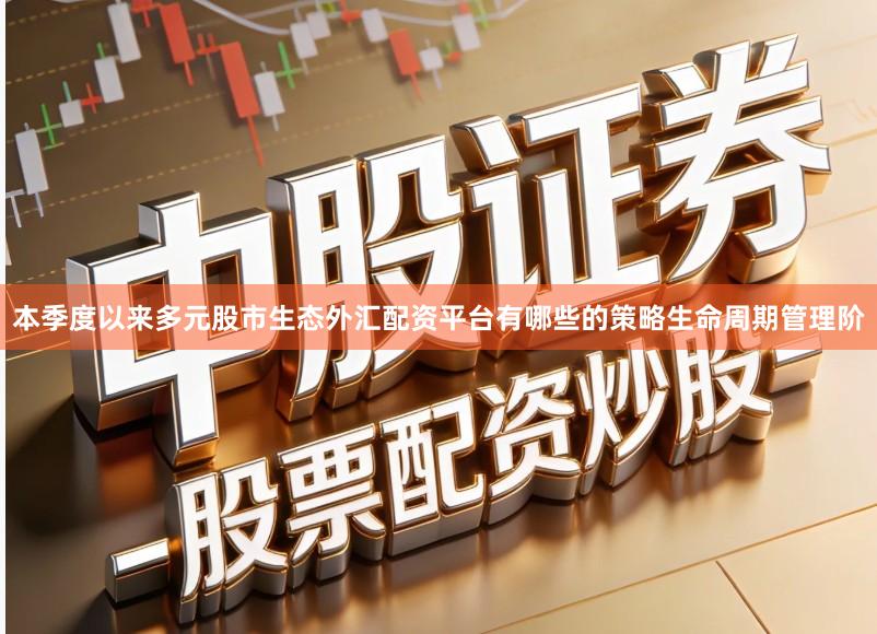 本季度以来多元股市生态外汇配资平台有哪些的策略生命周期管理阶