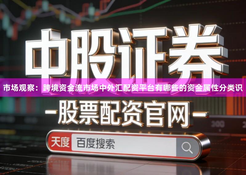 市场观察：跨境资金流市场中外汇配资平台有哪些的资金属性分类识