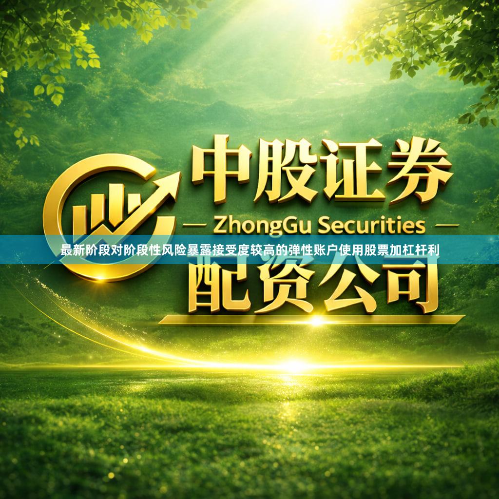 最新阶段对阶段性风险暴露接受度较高的弹性账户使用股票加杠杆利